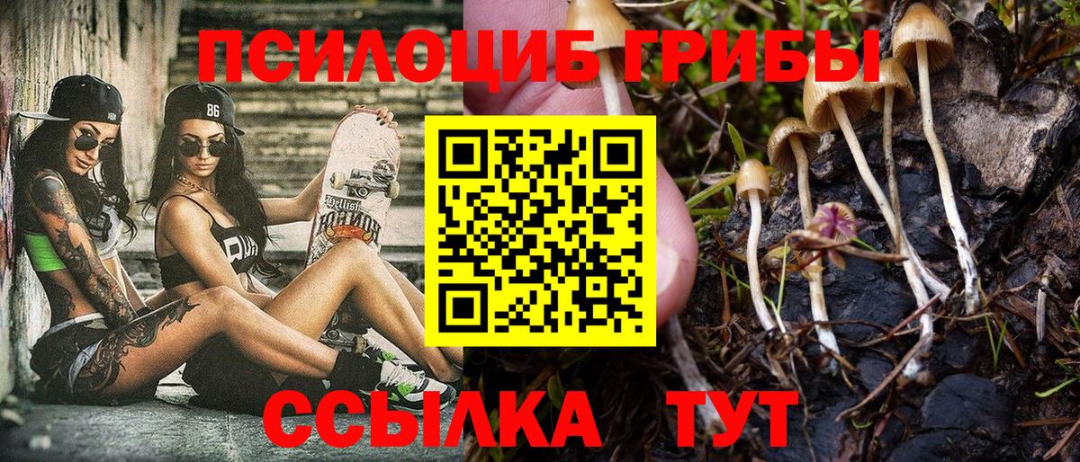 Галлюциногенные грибы прущие грибы Сафоново